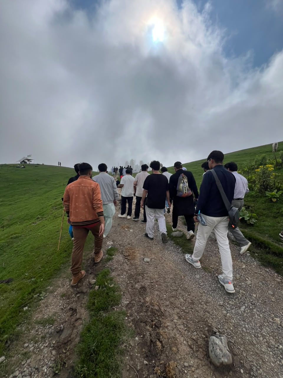 Pharmacognosy Field Trip to Nathiagali for Medicinal Plant Collection
