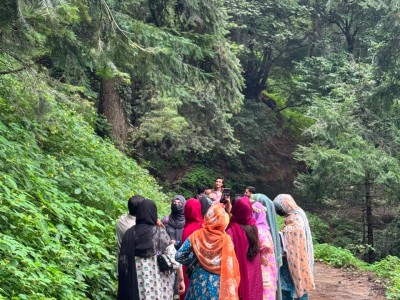 Pharmacognosy Field Trip to Nathiagali for Medicinal Plant Collection