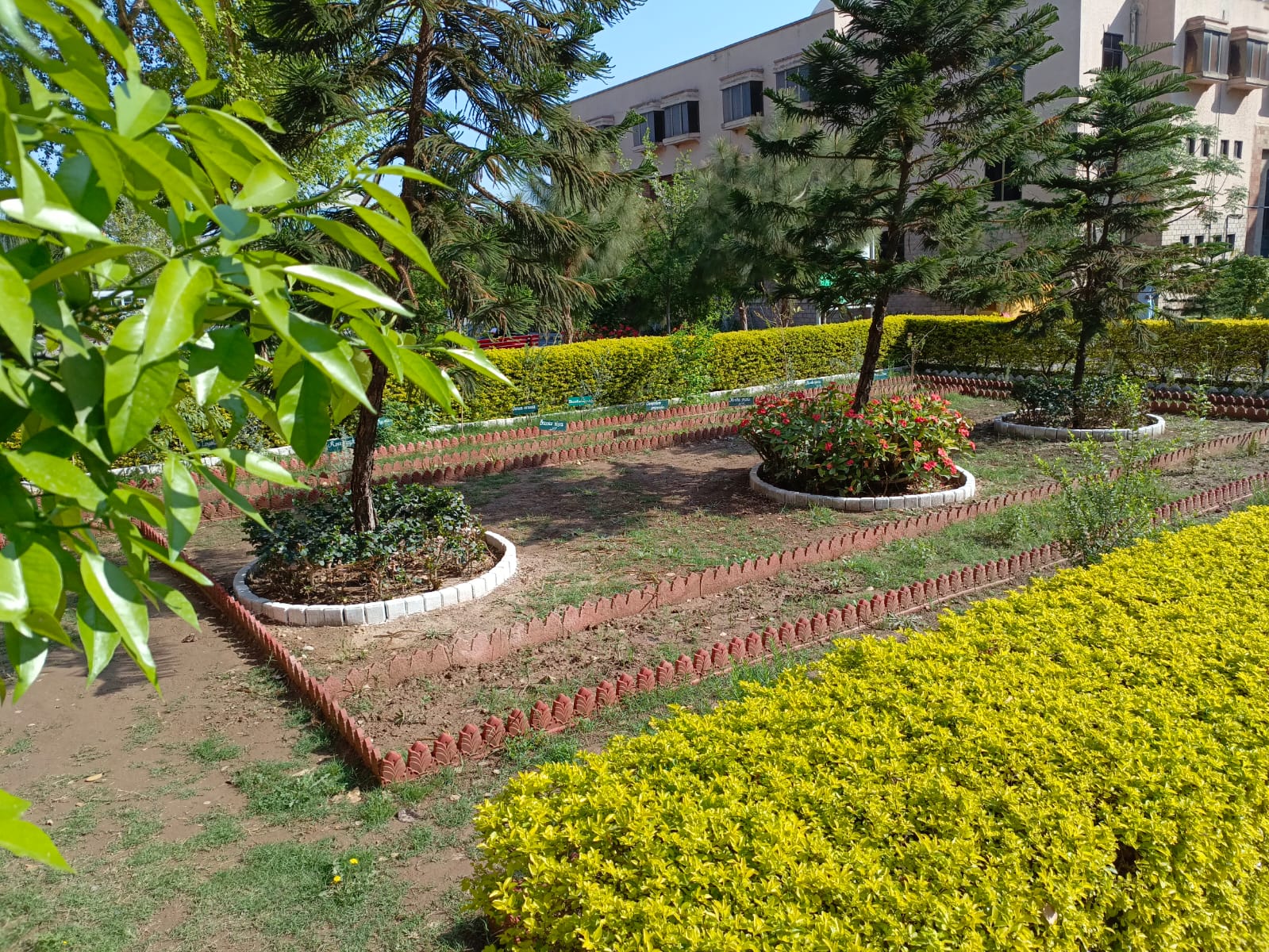 Medicinal Gardan
