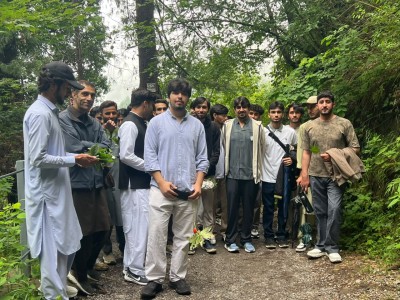 Pharmacognosy Field Trip to Nathiagali for Medicinal Plant Collection